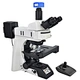 Motorized Automatic Biological Fluorescent Microscope